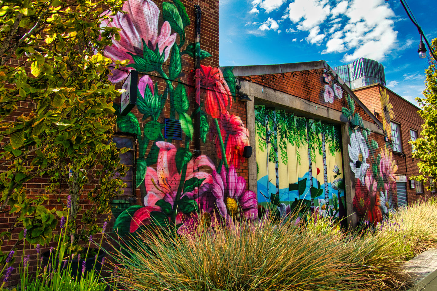 Liverpool Baltic Triangle Photo and Images -Liverpool Graffiti - Camp and Furnace - PTI07378 - Photo by Photographer Martin Fisher - Picture The Image