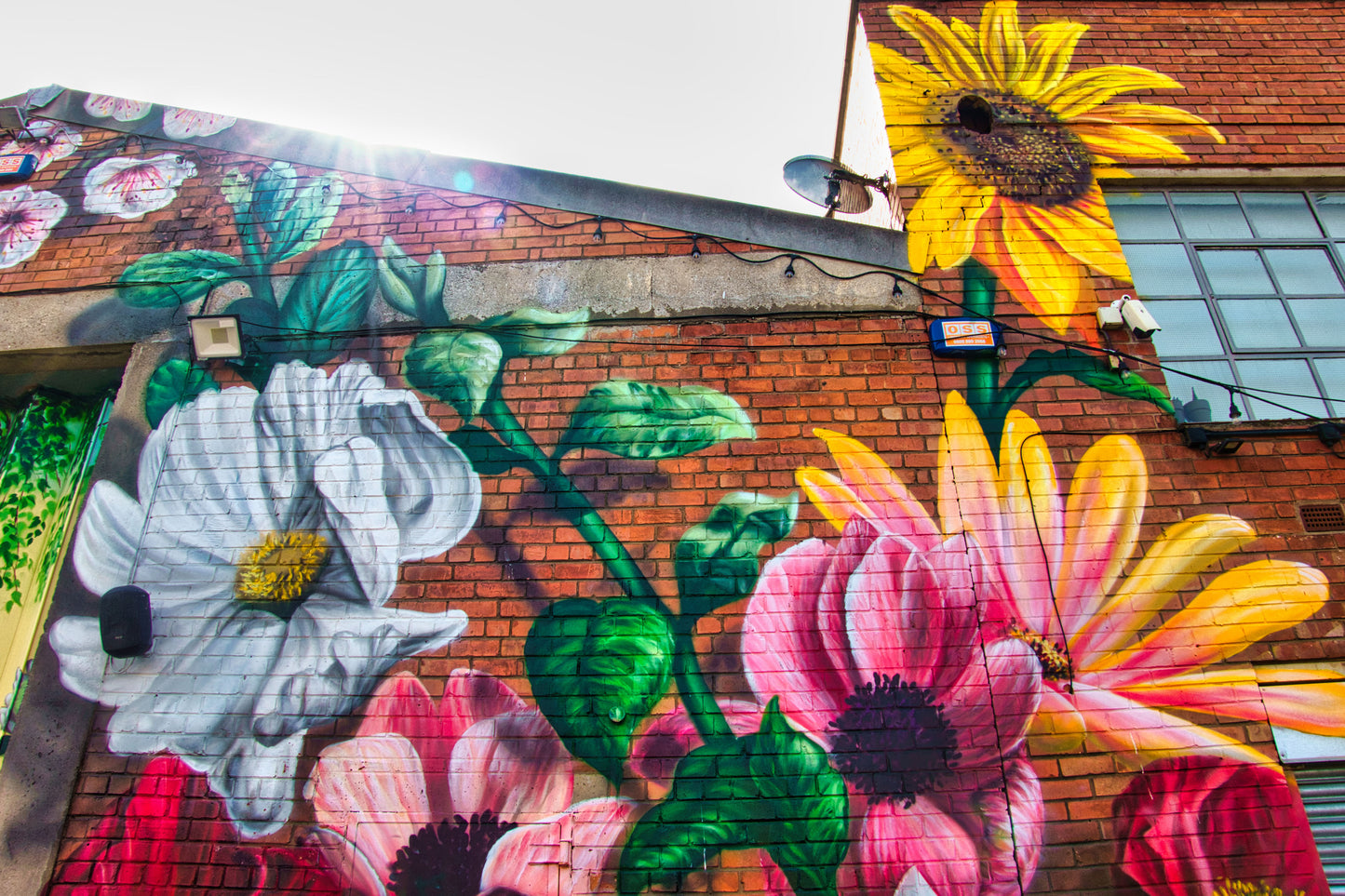 Liverpool Baltic Triangle Photo and Images -Liverpool Graffiti - Camp and Furnace - PTI07394 - Photo by Photographer Martin Fisher - Picture The Image