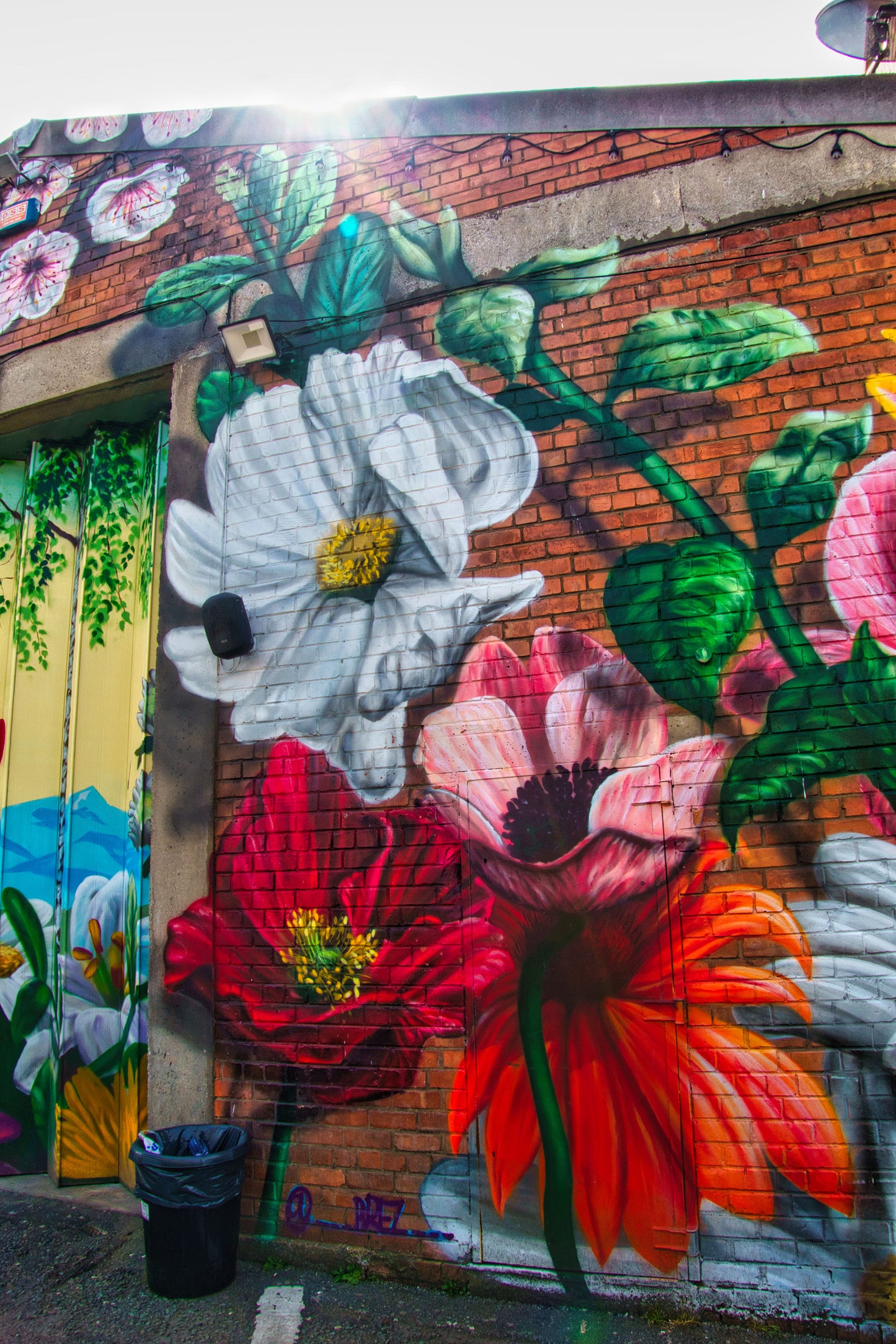 Liverpool Baltic Triangle Photo and Images -Liverpool Graffiti - Camp and Furnace - PTI07396 - Photo by Photographer Martin Fisher - Picture The Image