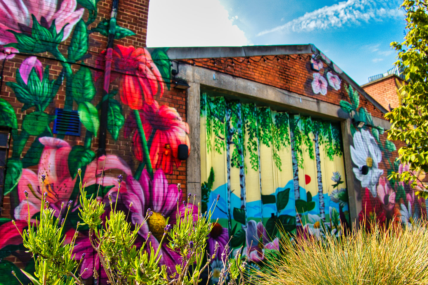 Liverpool Baltic Triangle Photo and Images -Liverpool Graffiti - Camp and Furnace - PTI07403 - Photo by Photographer Martin Fisher - Picture The Image