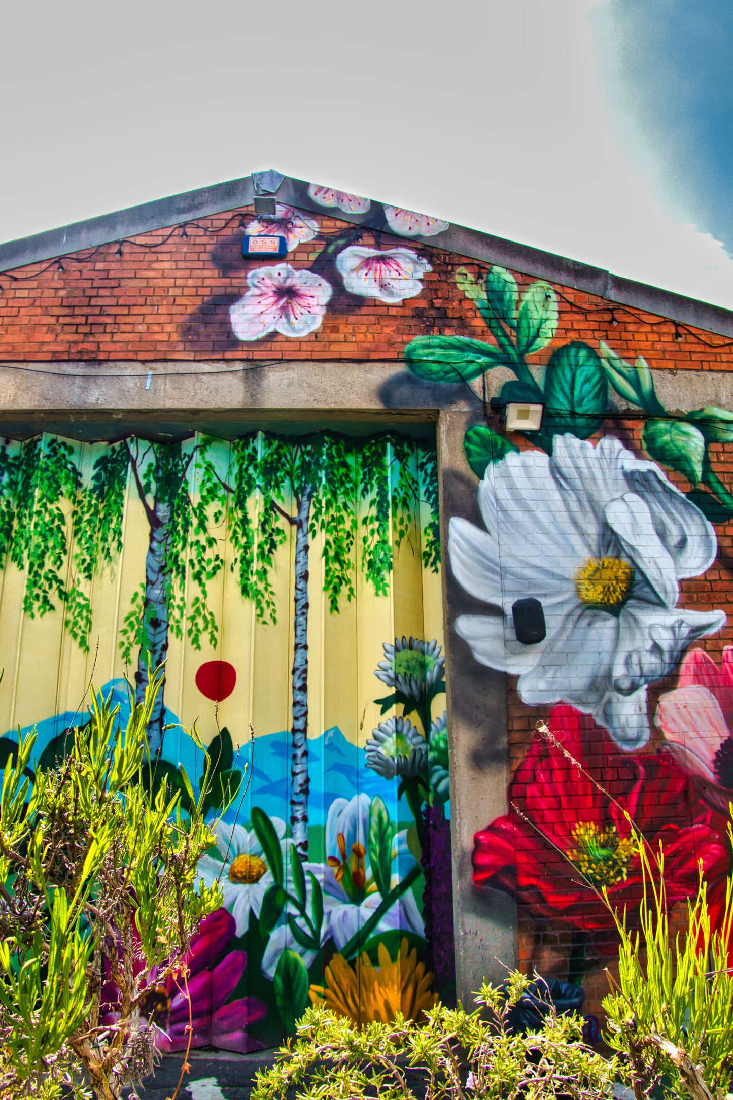 Liverpool Baltic Triangle Photo and Images -Liverpool Graffiti - Camp and Furnace - PTI07408 - Photo by Photographer Martin Fisher - Picture The Image