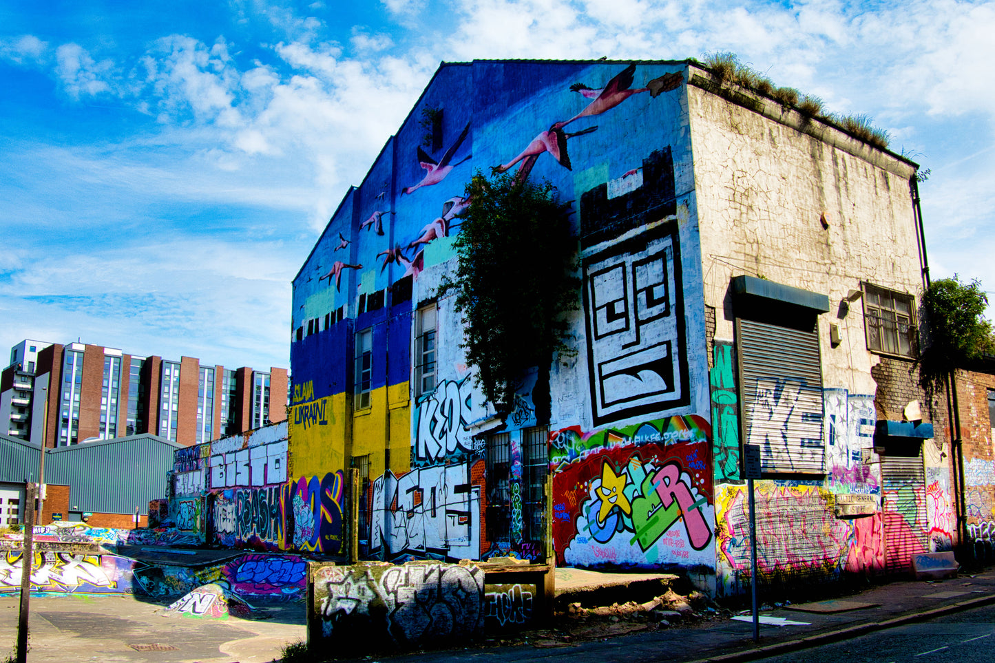 Liverpool Baltic Triangle Photo and Images -Liverpool Graffiti - Square Face - PTI07363 - Photo by Photographer Martin Fisher - Picture The Image