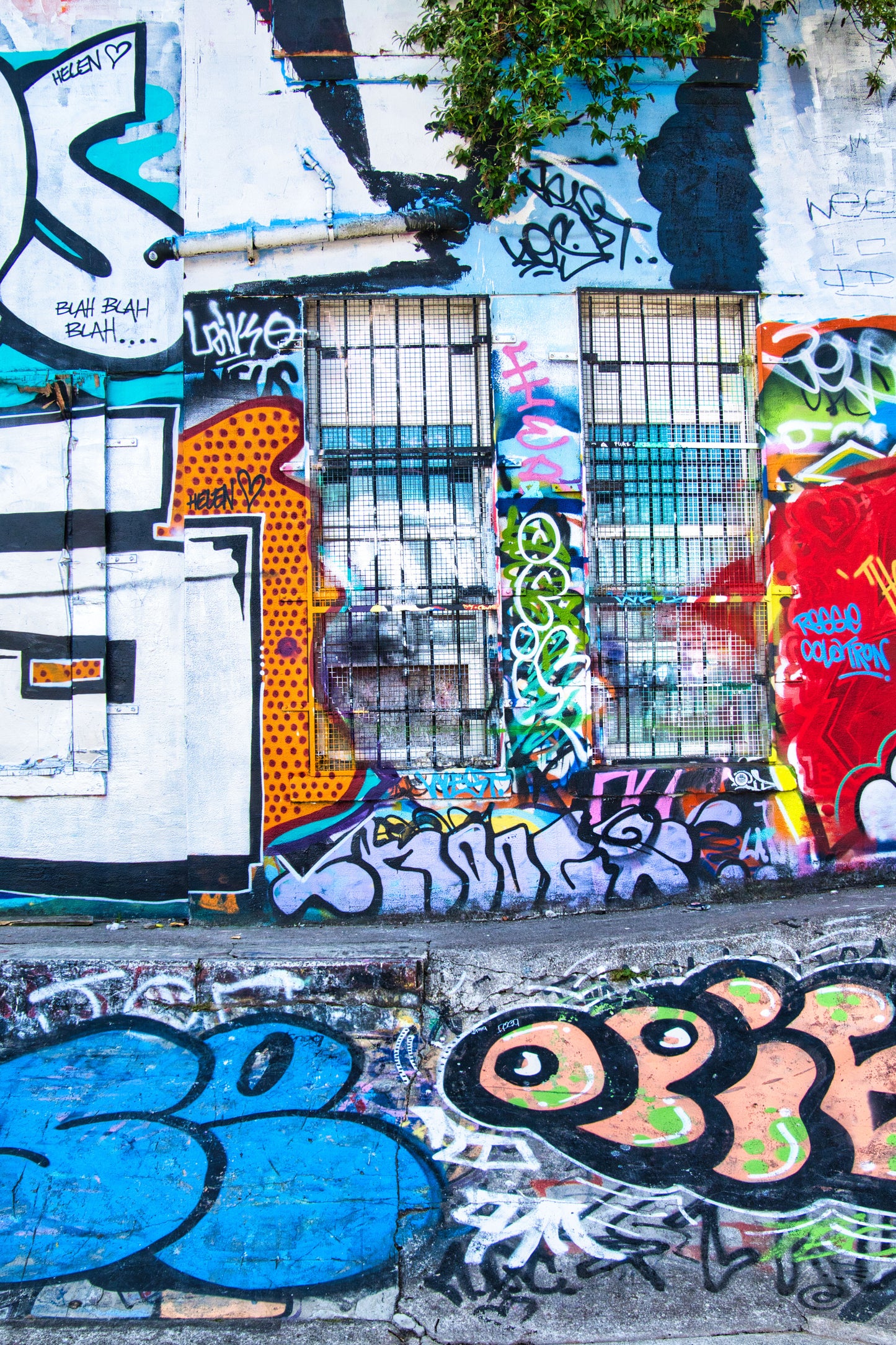 Liverpool Baltic Triangle Photo and Images -Liverpool Graffiti - The Windows - PTI07361 - Photo by Photographer Martin Fisher - Picture The Image