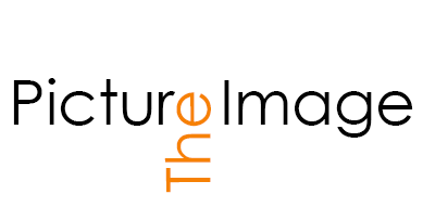 Picture The Image