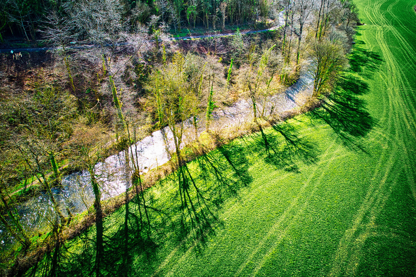 River Bray - Afternoon Shadows Photo - DJI_0145- Photographer Martin Fisher- Picture The Image