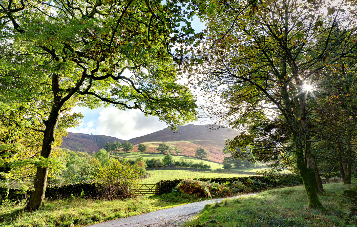 Ashness - Photo - Photographer Darron Matthews