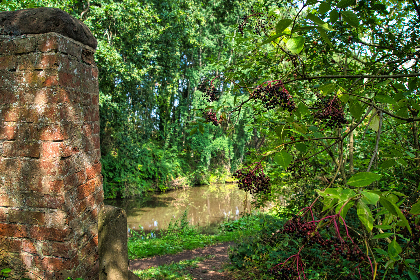 Birmingham & Fazeley Canal - Hopwas - DSC04792 - Photo - Photographer Martin Fisher