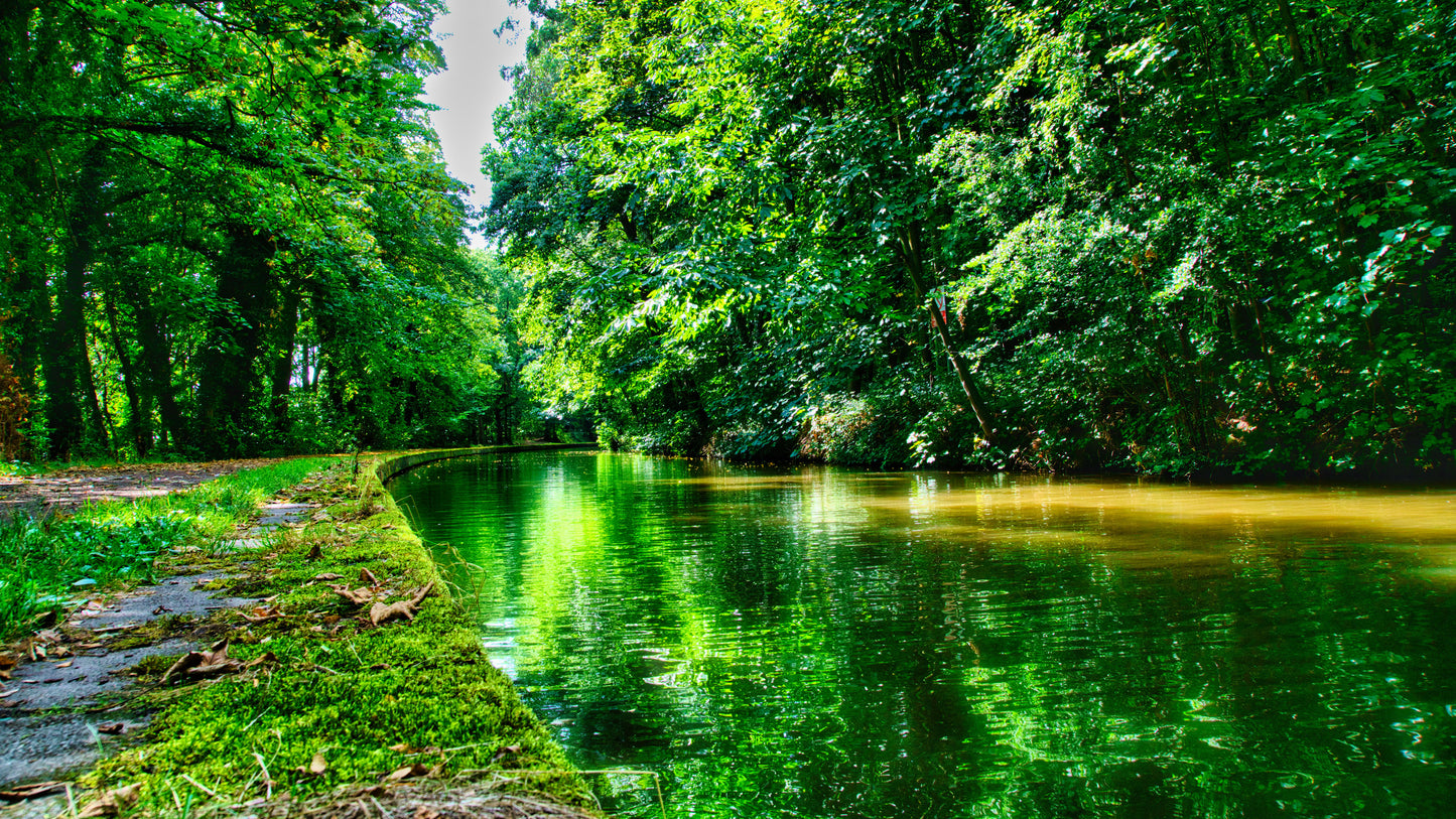 Birmingham & Fazeley Canal - Hopwas - DSC04833 - Photo - Photographer Martin Fisher