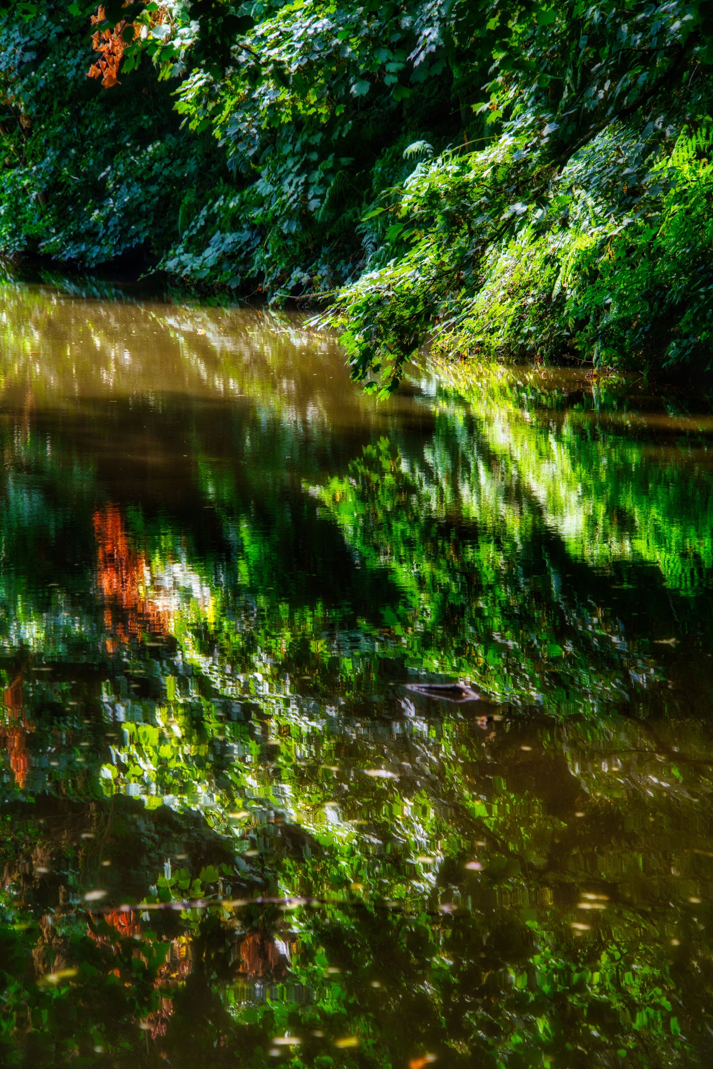 Birmingham & Fazeley Canal - Hopwas - Reflections - DSC04810 - Photo - Photographer Martin Fisher
