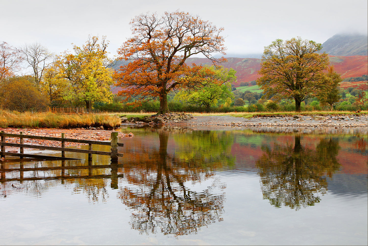 Buttermere Reflects - Photo - Photographer Darron Matthews