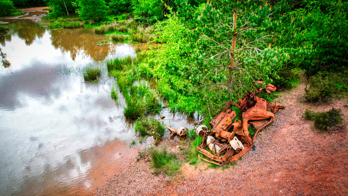 Cannock Chase - Old Rusty - Photo - Photographer Martin Fisher