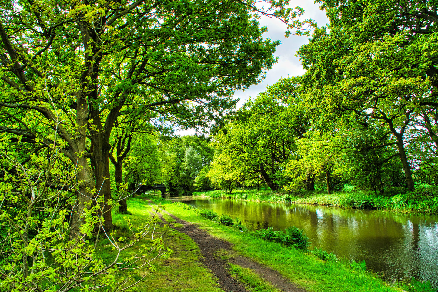 Cannock Extension Canal - Part 1 - Photo - Photographer Martin Fisher
