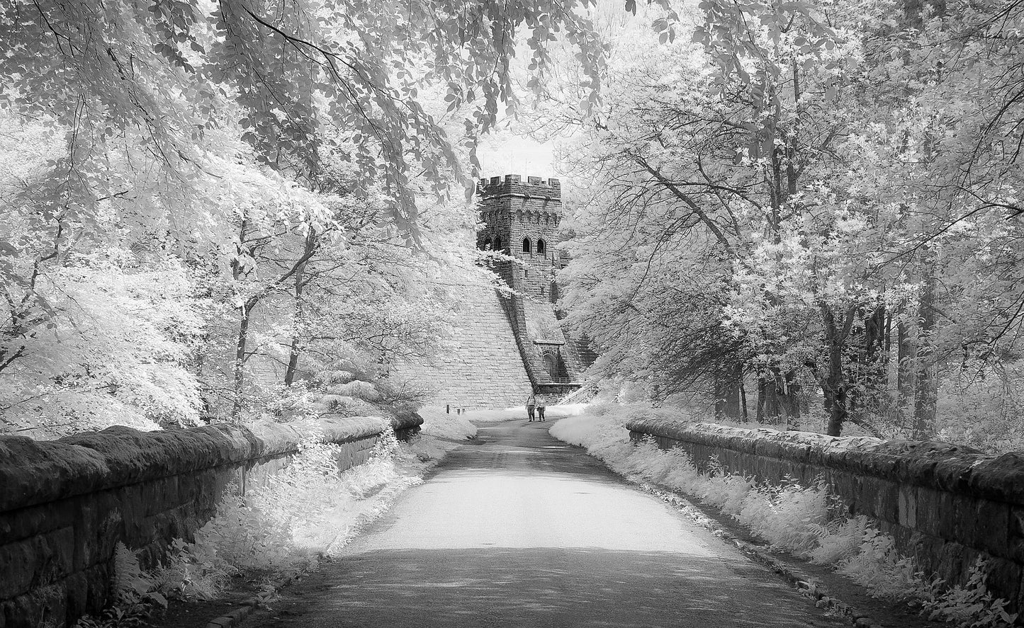 Derwent Dam - Photo - Photographer Darron Matthews