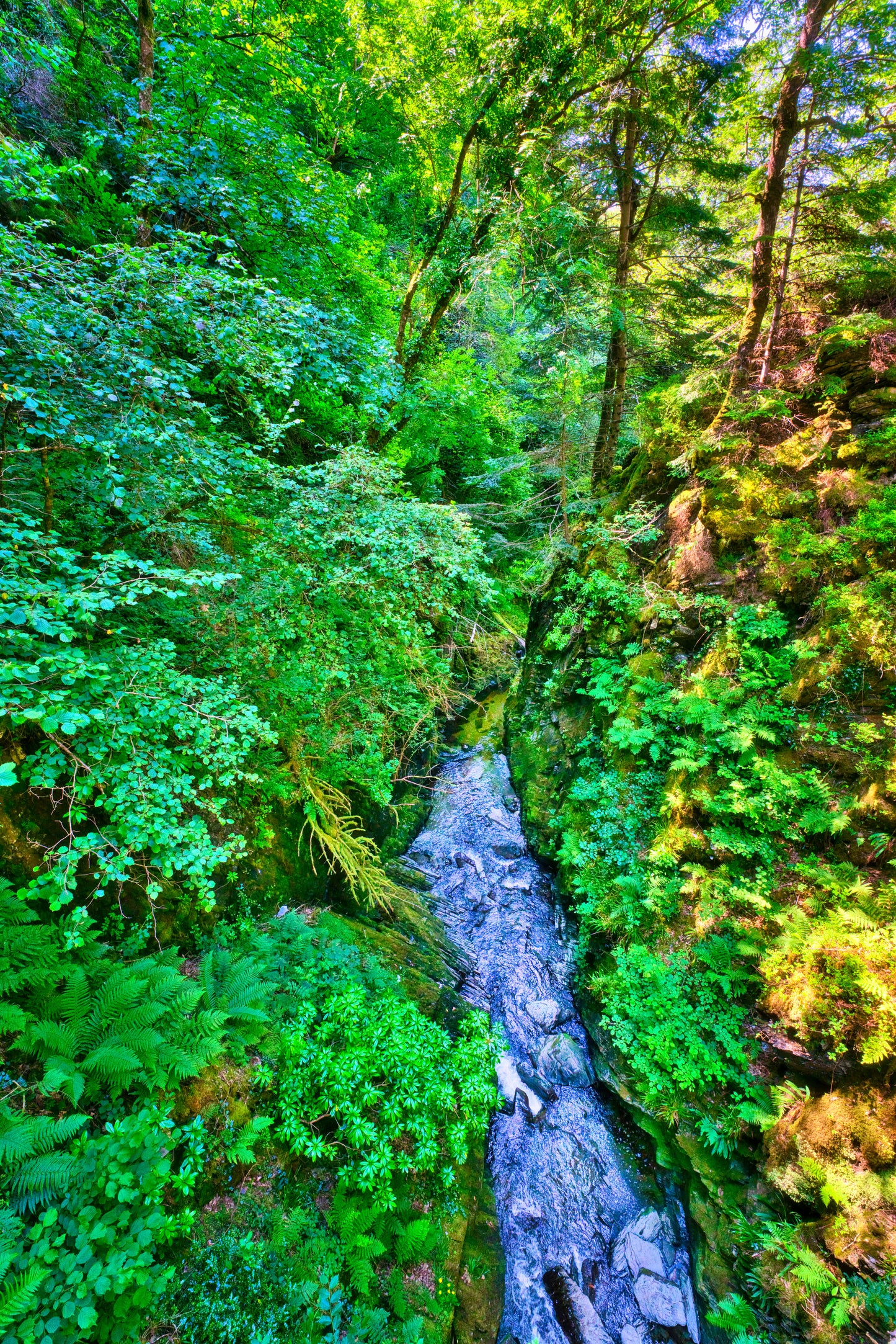 Devils Bridge Stream - DSC02448 - Photo - Photographer Martin Fisher
