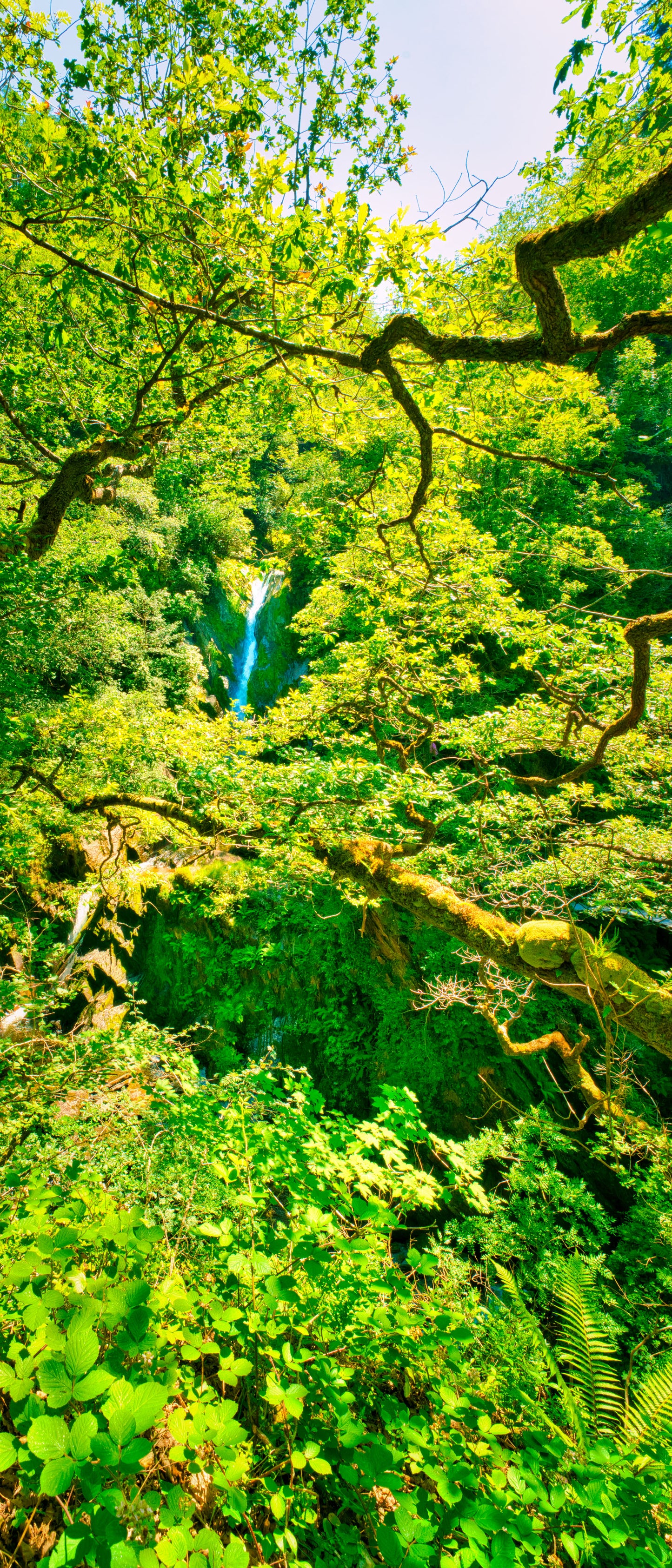 Devils Bridge Waterfall- DSC02430 - Photo - Photographer Martin Fisher