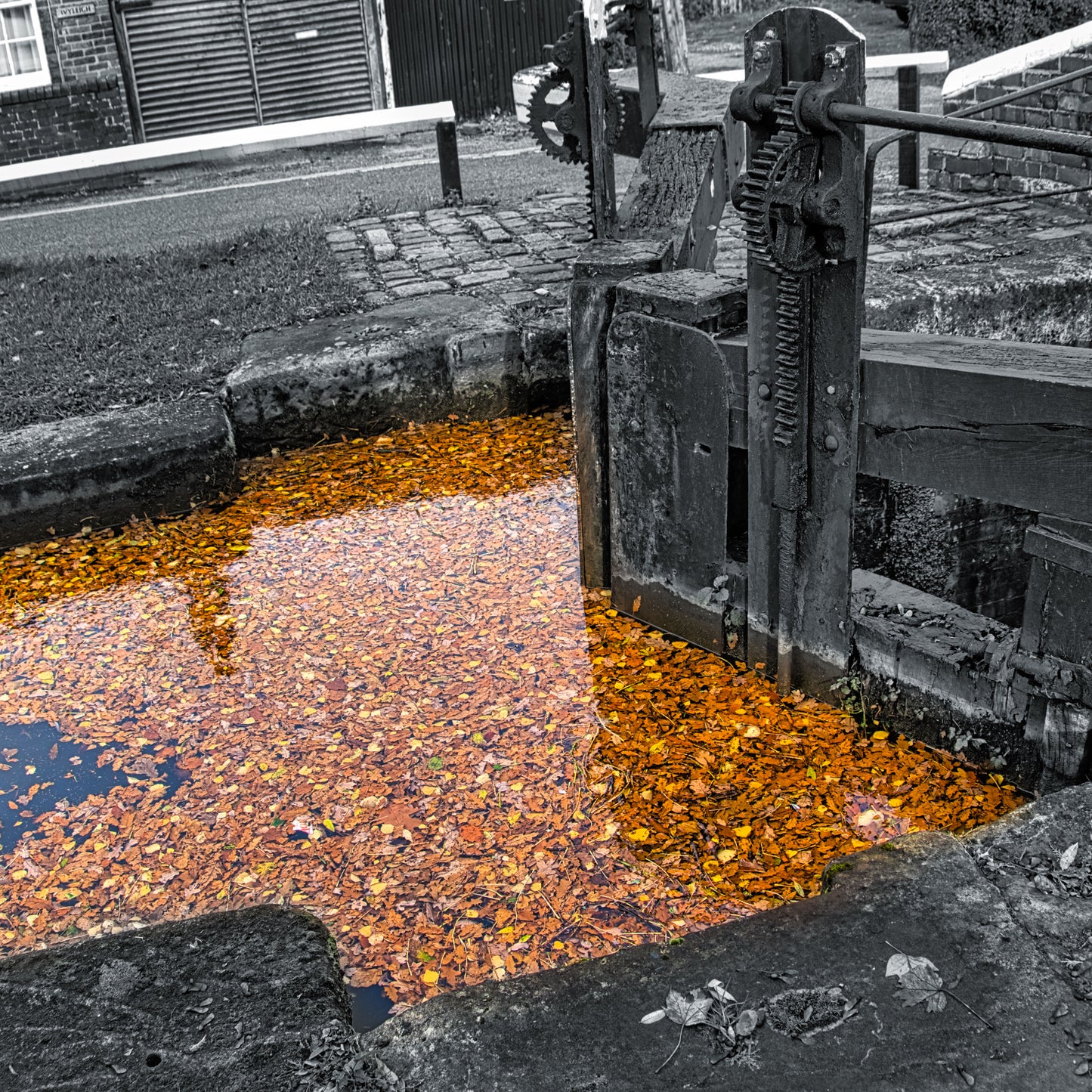 Fradley Junction Canal - Lock & Leaves - DSC04980 - Photo - Photographer Martin Fisher