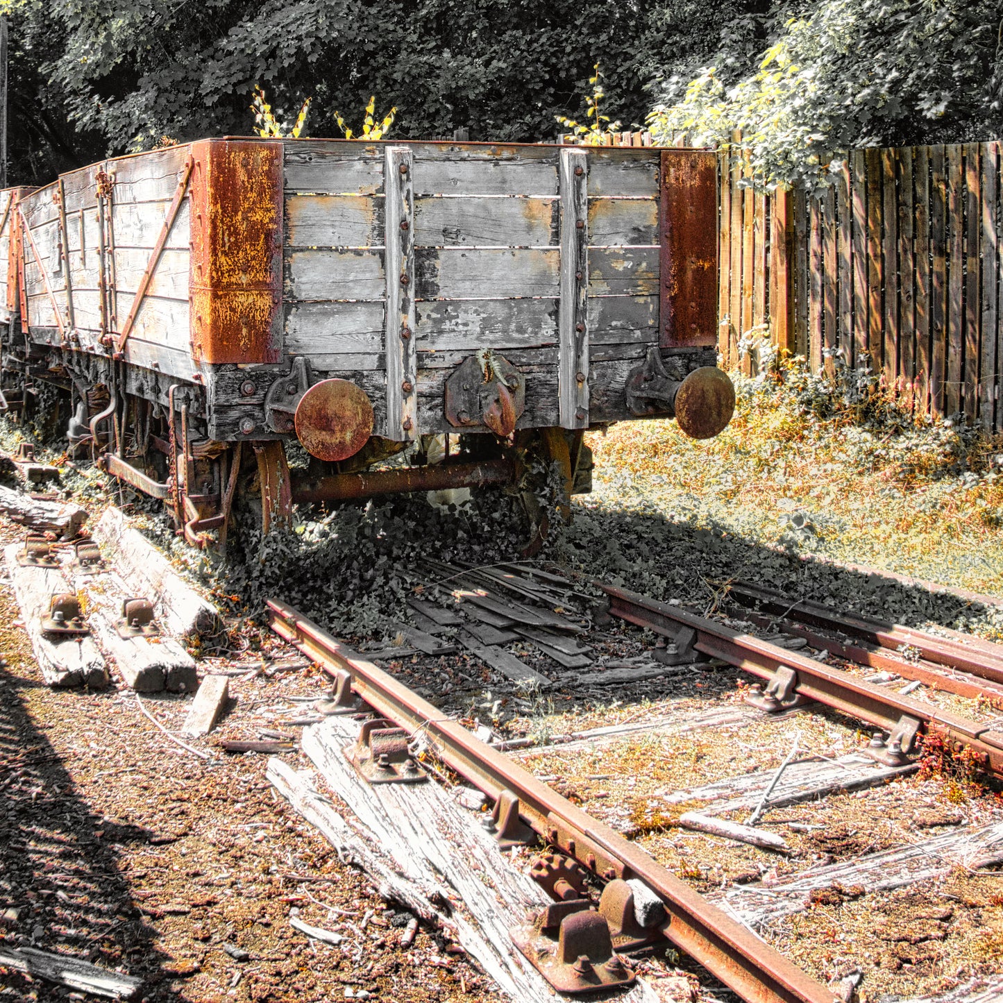 Going Nowhere Today - Photo - Photographer Martin Fisher
