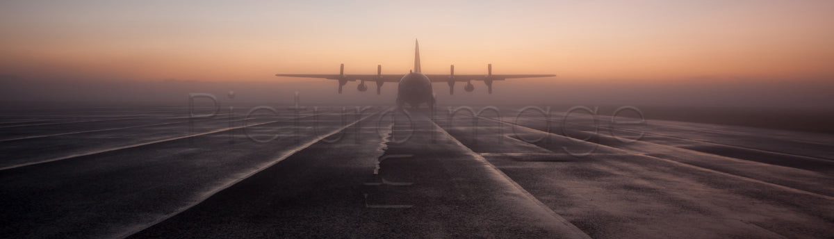 Hercules - Photo - Photographer Darron Matthews