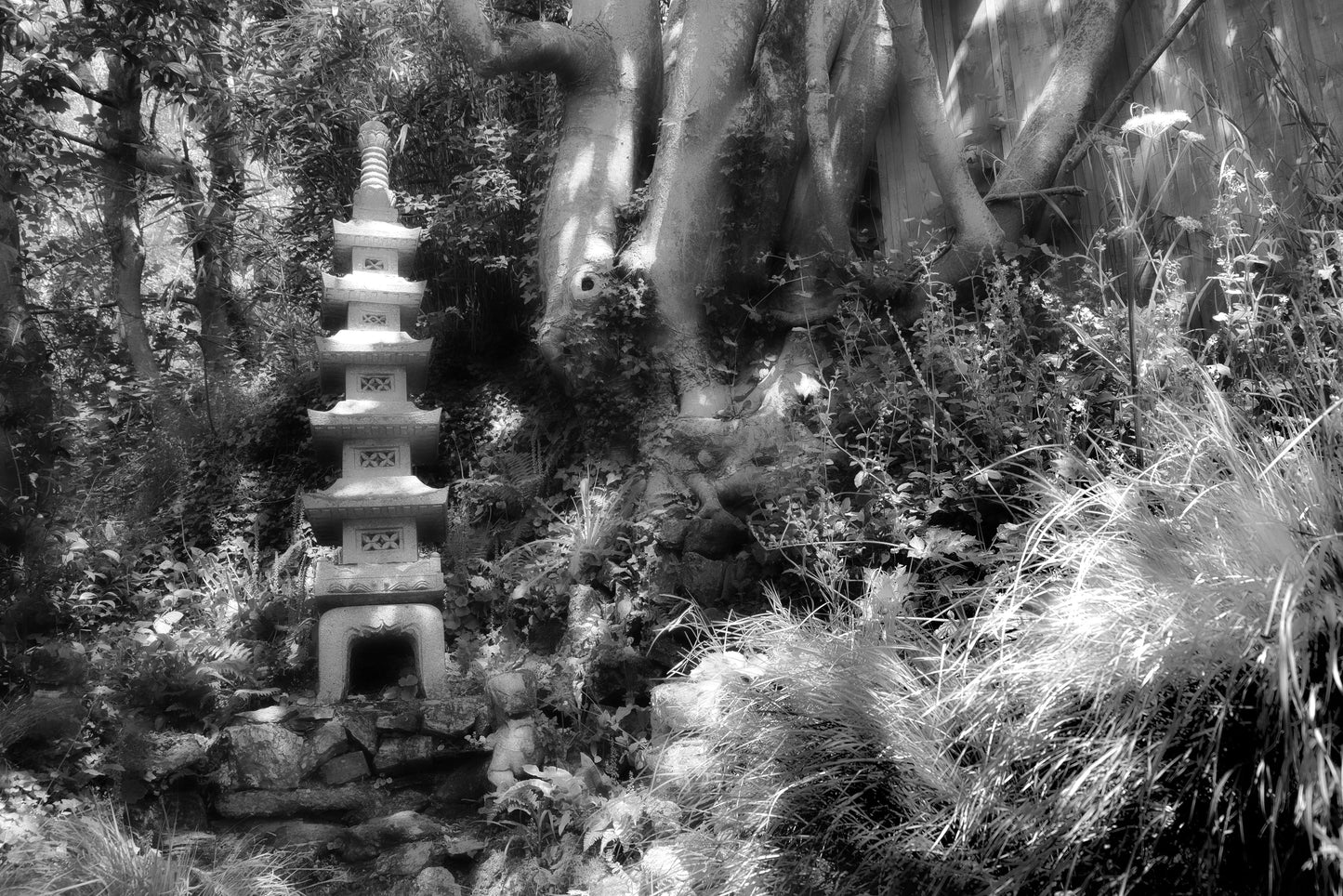 Japanese Garden 7 - DSC00736 - Photo - Photographer Martin Fisher