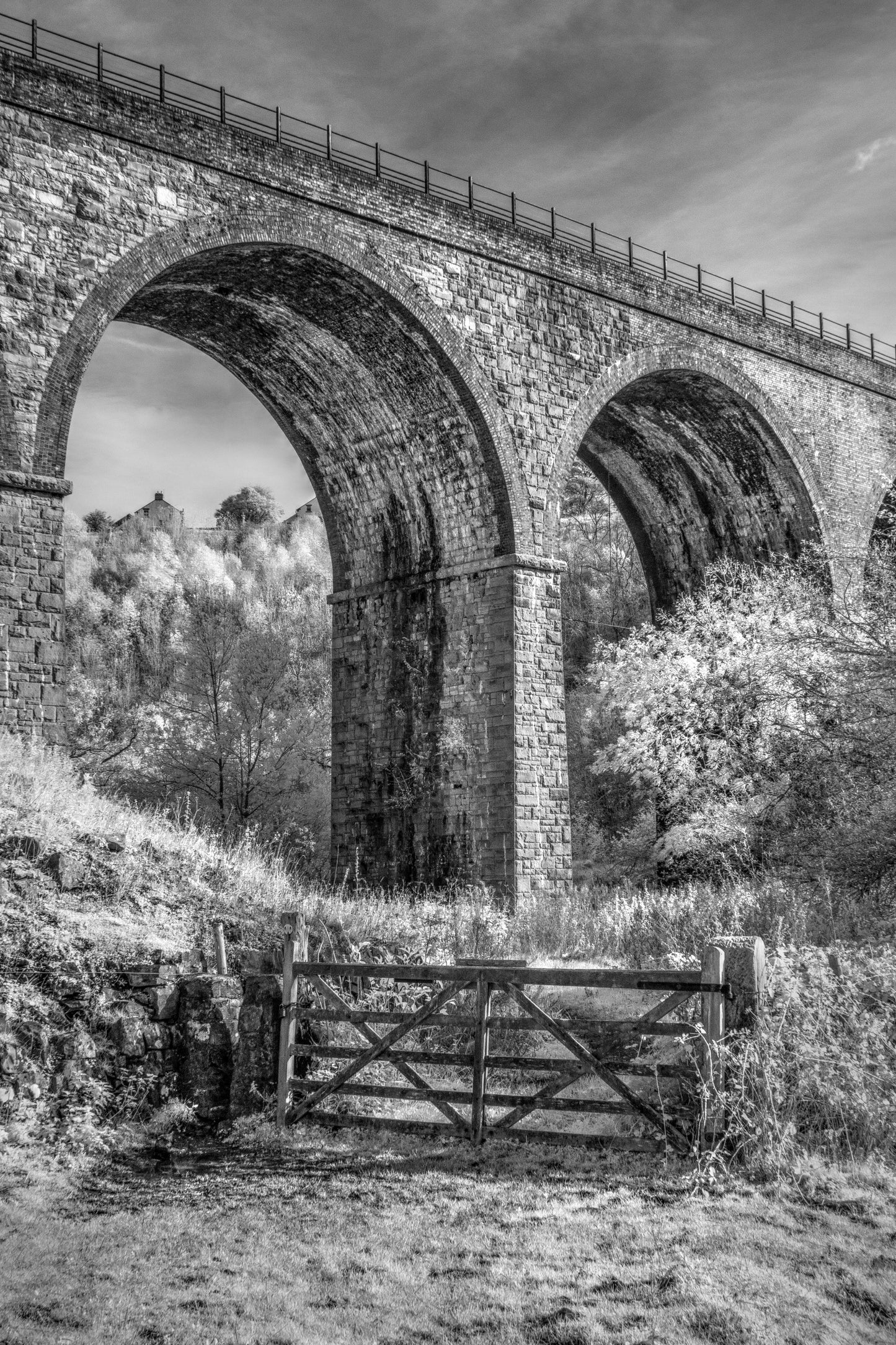 Monsal Head - Photo - Photographer Darron Matthews