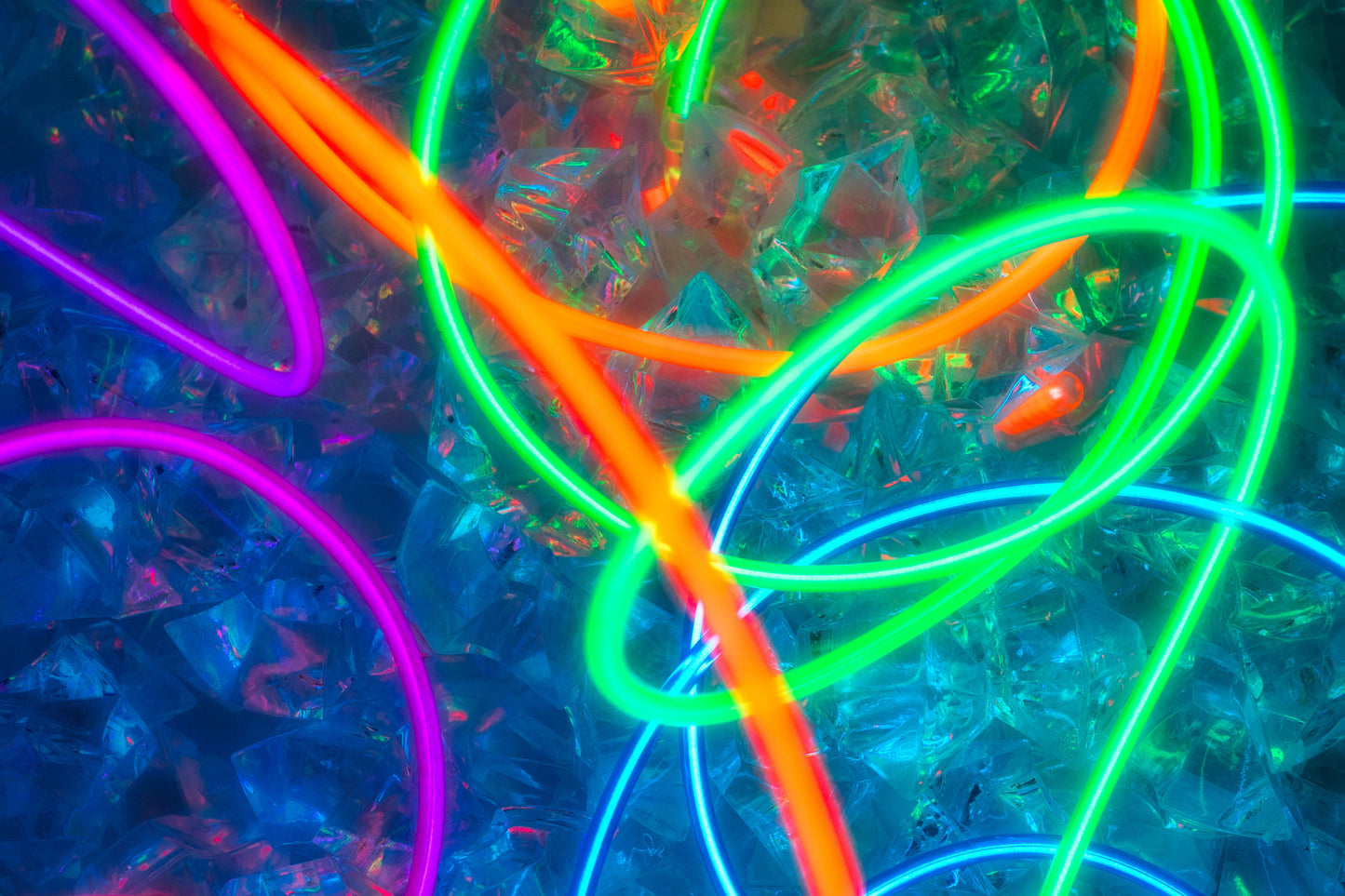 Neon 5 - DSC04521 - Photo - Photographer Martin Fisher