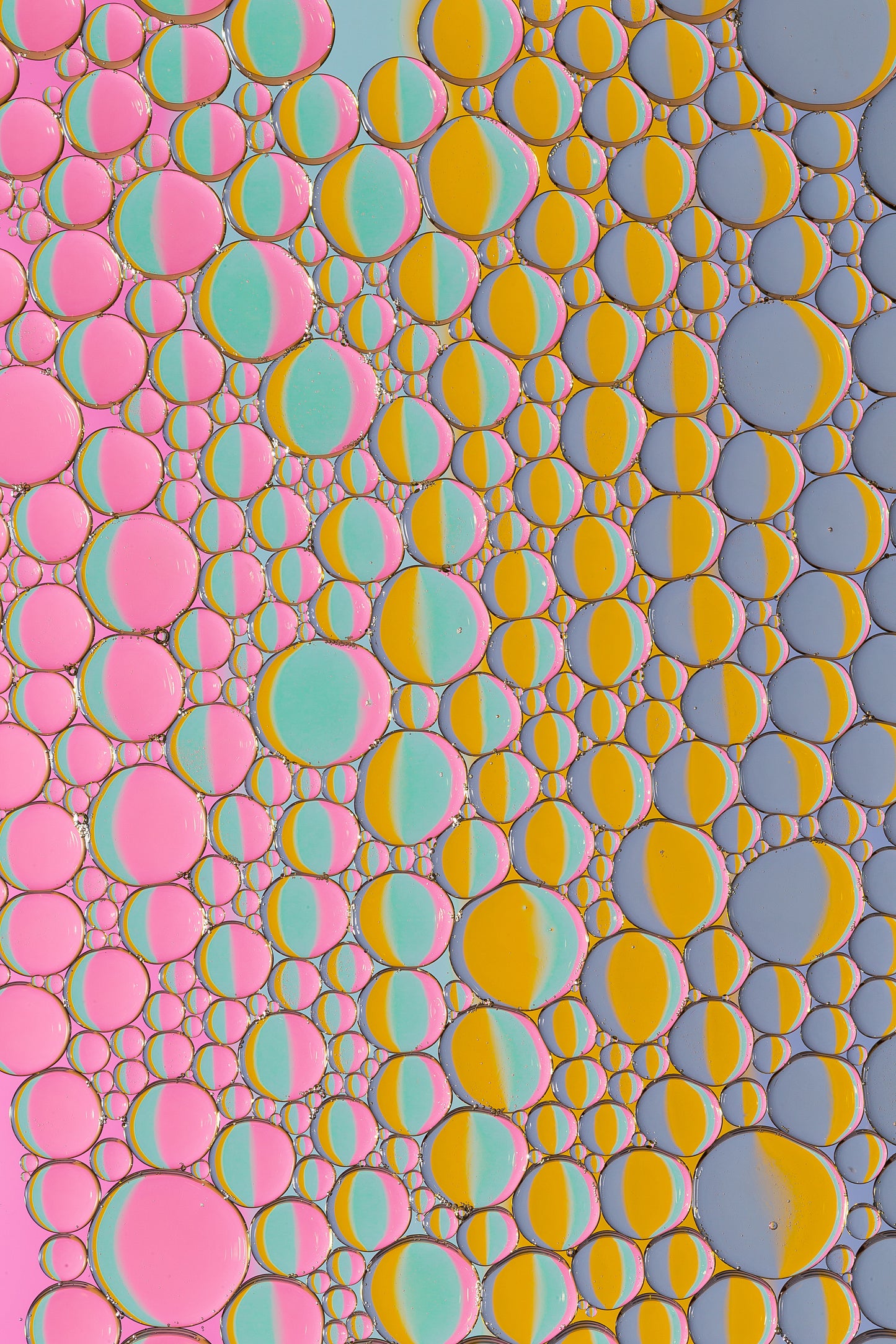 Oil on Water Pale 02 (2 OF 3) - Photo - Photographer Darron Matthews