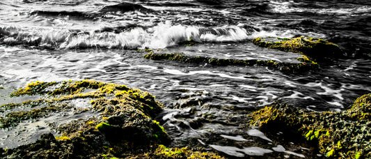 Paphos - Waves 5 - DSC01030 - Photo - Photographer Martin Fisher