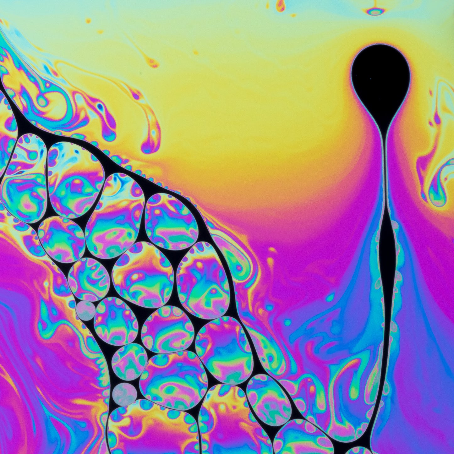 Psychedelic Liquid 03 (3 OF 6) - Photo - Photographer Darron Matthews