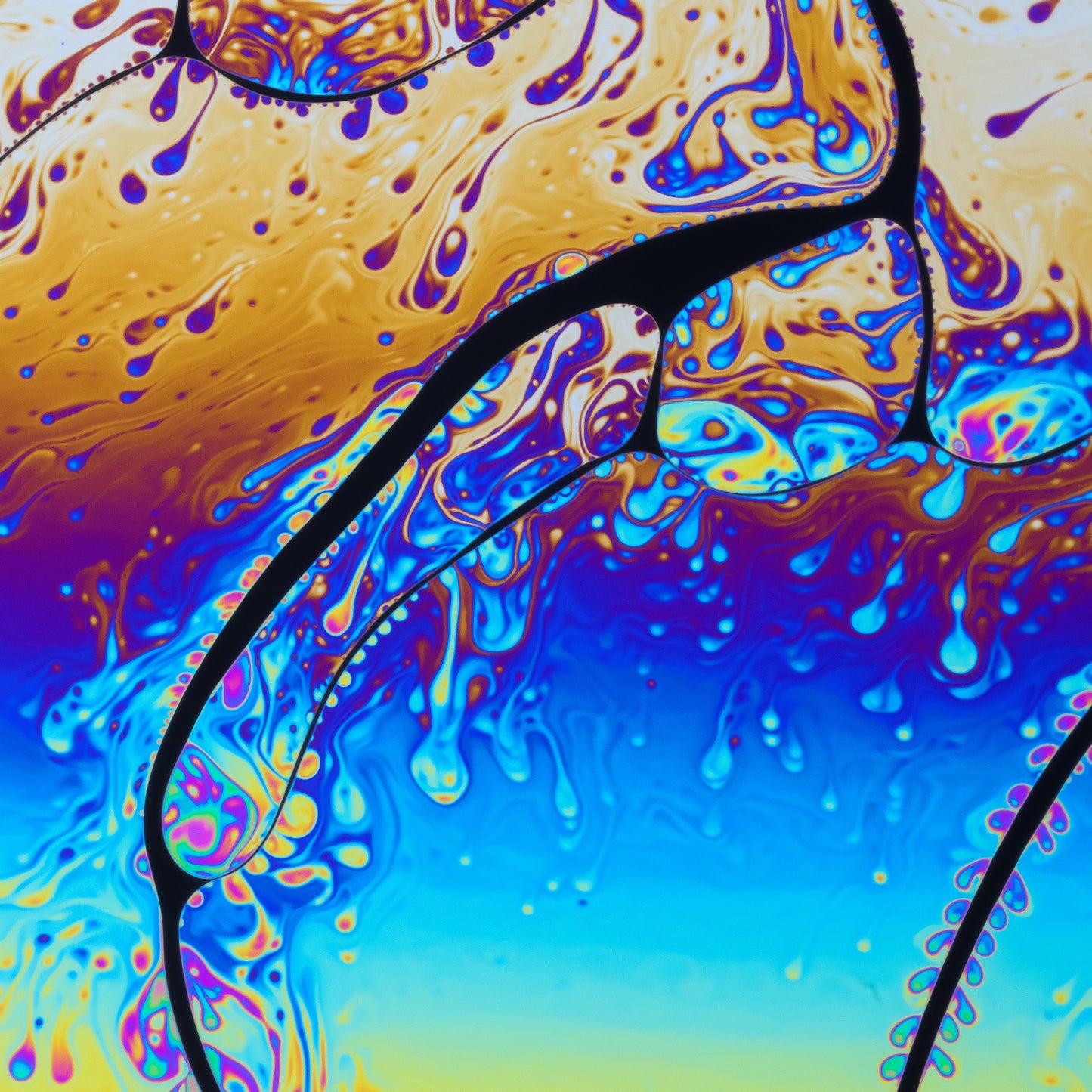 Psychedelic Liquid 05 (5 OF 6) - Photo - Photographer Darron Matthews
