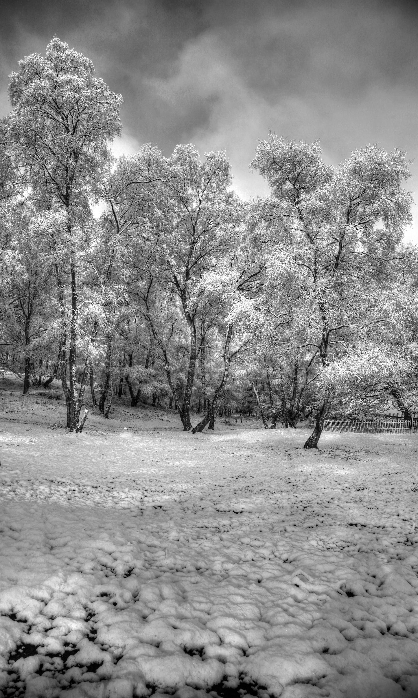 Snow on the Chase 01 - Photo - Photographer Darron Matthews