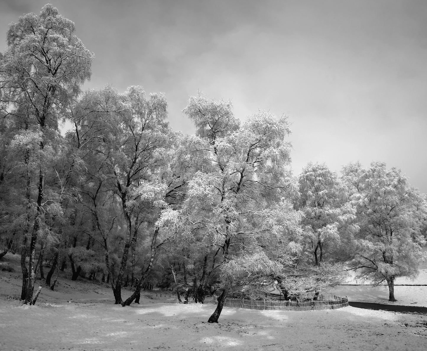 Snow on the Chase 02 - Photo - Photographer Darron Matthews