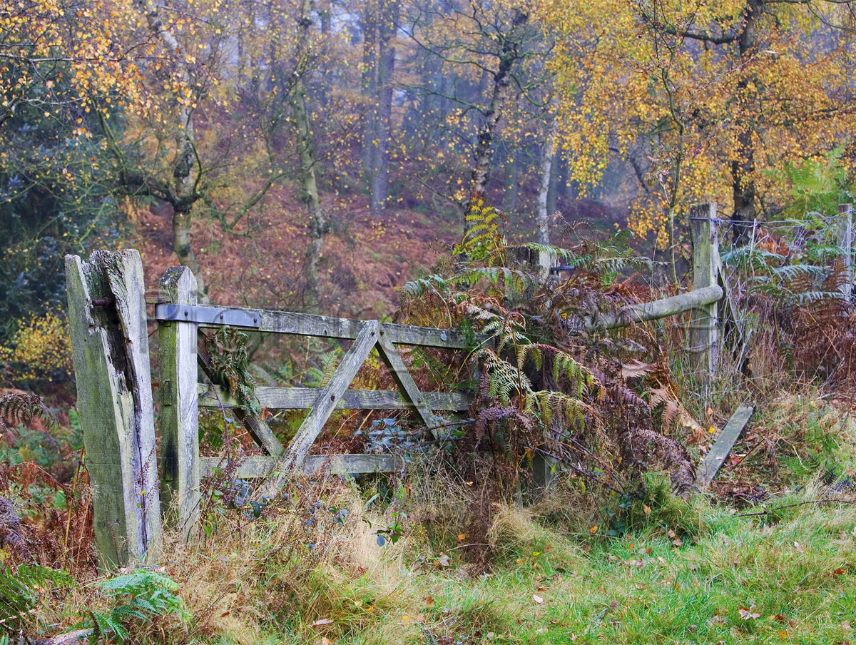 The Chase Gate - Photo - Photographer Darron Matthews