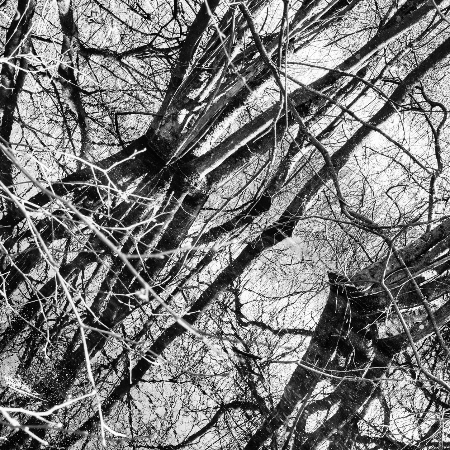 Tilt Reflections - Photo - Photographer Martin Fisher