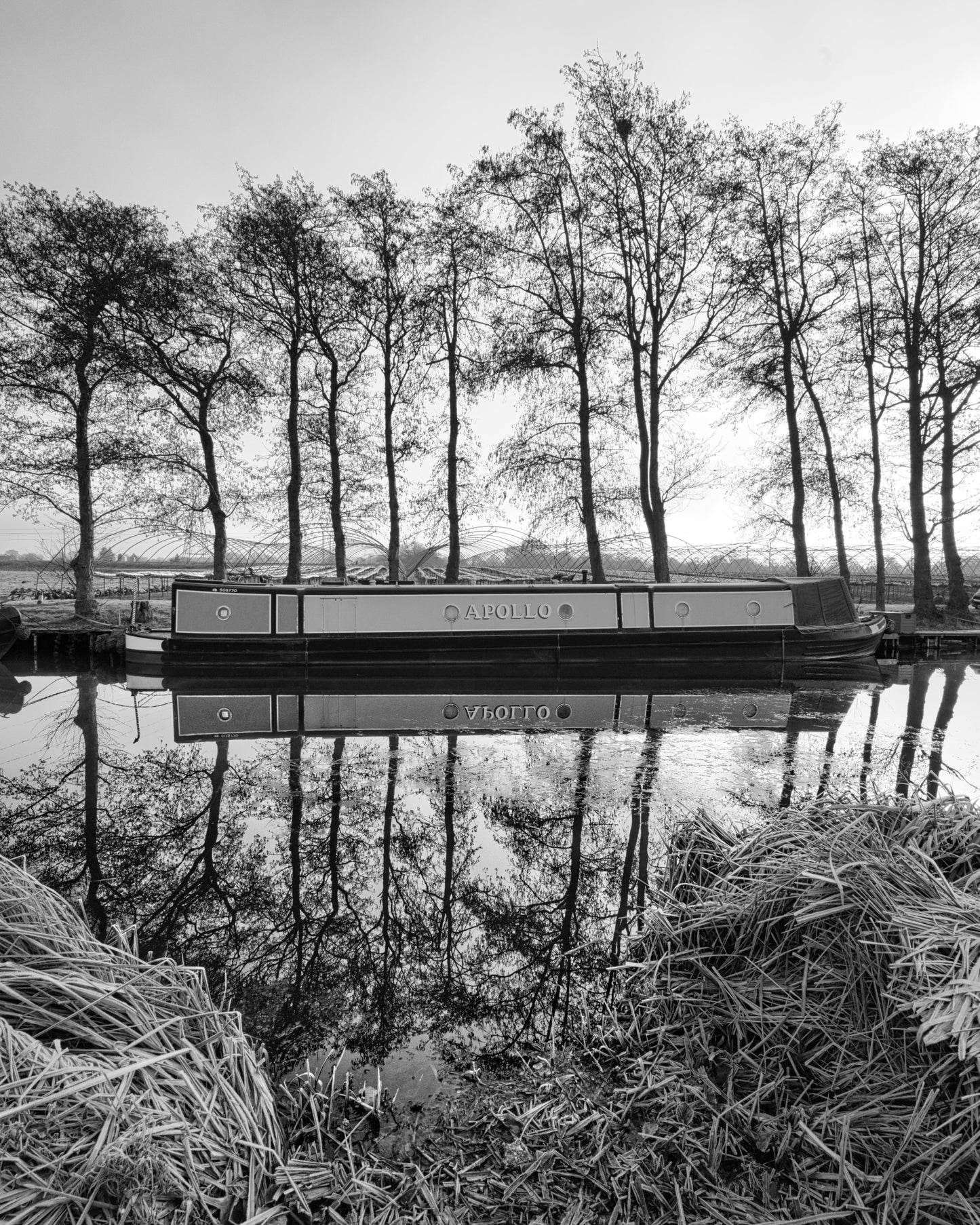 Trent and Mersey Canal - Greater Haywood - DSC05183 - Photo - Photographer Martin Fisher
