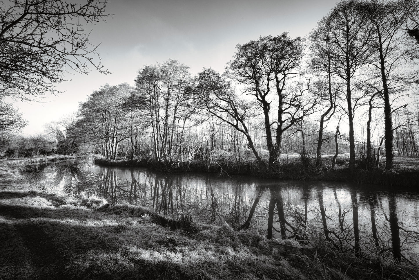 Trent and Mersey Canal - Greater Haywood - DSC05207 - Photo - Photographer Martin Fisher