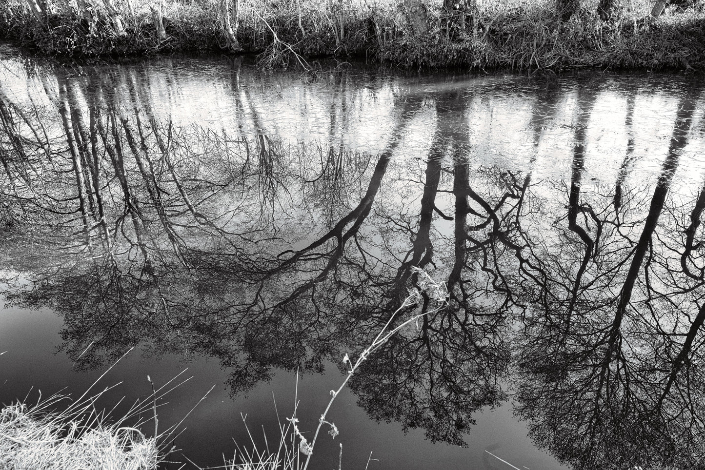 Trent and Mersey Canal - Greater Haywood - DSC05209 - Photo - Photographer Martin Fisher