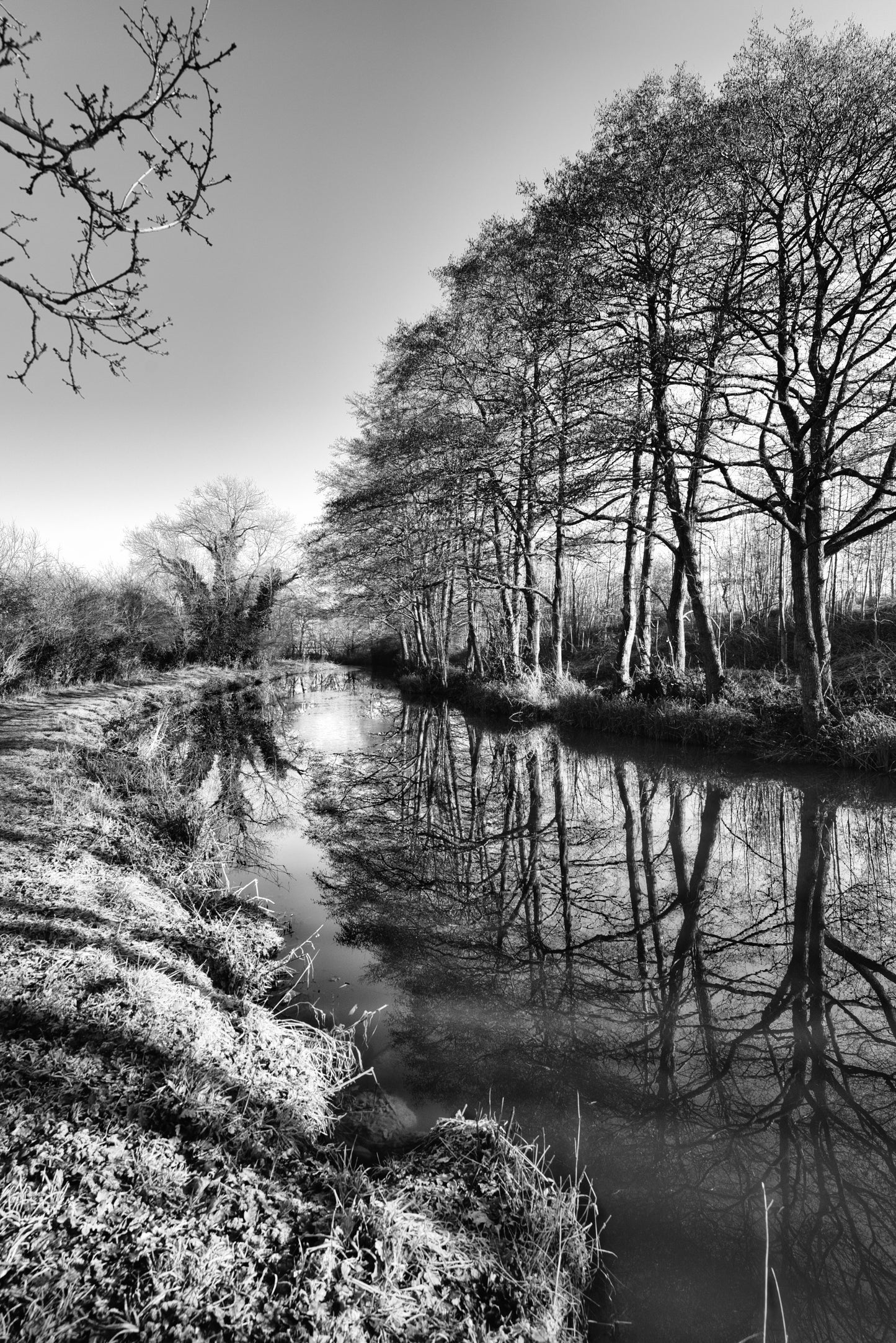 Trent and Mersey Canal - Greater Haywood - DSC05213 - Photo - Photographer Martin Fisher