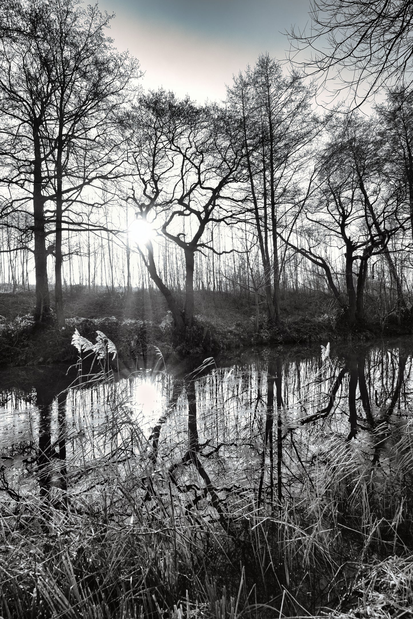 Trent and Mersey Canal - Greater Haywood - DSC05215 - Photo - Photographer Martin Fisher