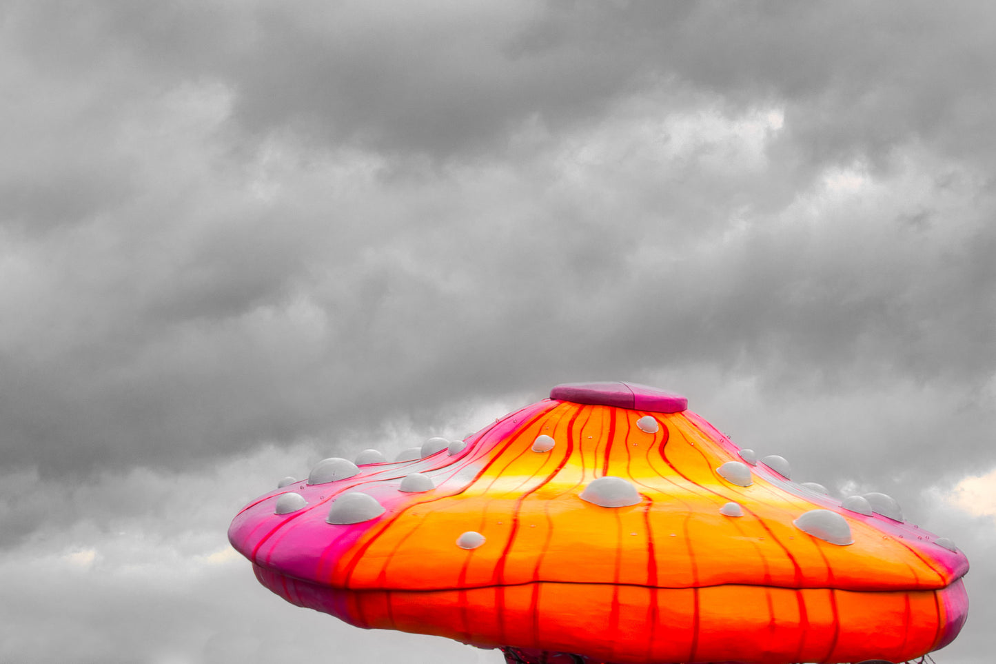 UFO Has Landed - DSC07754 - Photo - Photographer Martin Fisher