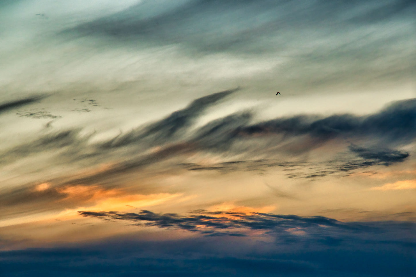 Wadebridge - Sunset with Attitude - Photo - Photographer Martin Fisher