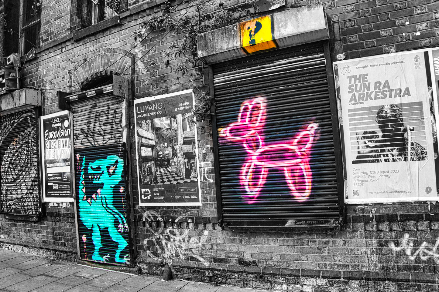 Liverpool Baltic Triangle Photo and Images -Liverpool Graffiti - Pink Balloon Dog - PTI07513 - Photo by Photographer Martin Fisher - Picture The Image