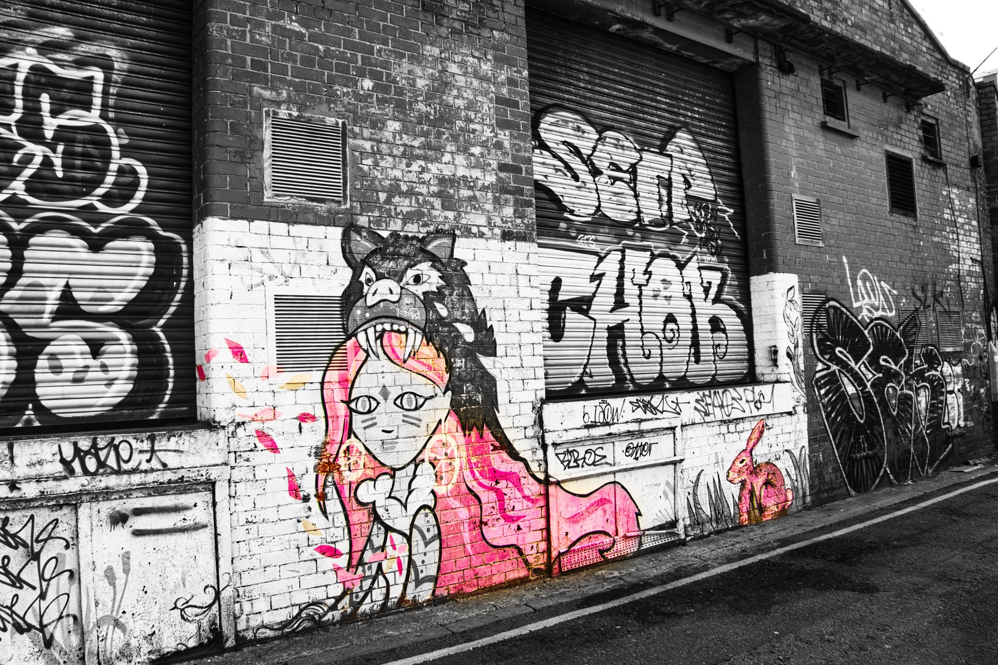 Liverpool Baltic Triangle Photo and Images -Liverpool Graffiti - Pink Lady - PTI07437 - Photo by Photographer Martin Fisher - Picture The Image