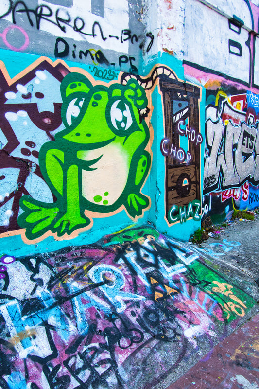 Liverpool Baltic Triangle Photo and Images -Liverpool Graffiti - The Frog - PTI07343 - Photo by Photographer Martin Fisher - Picture The Image