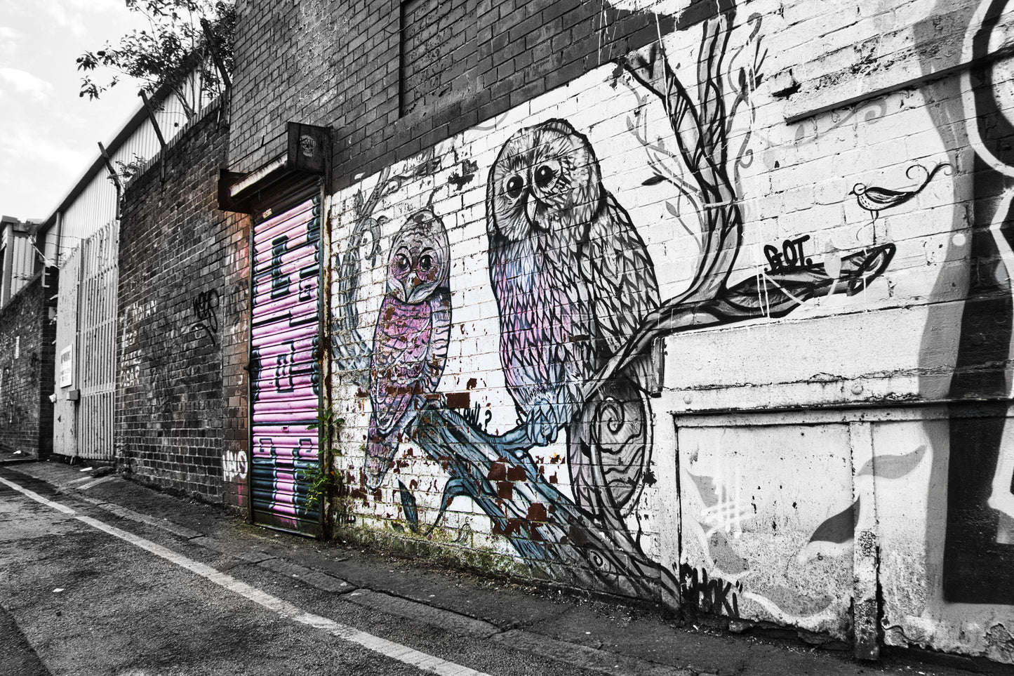 Liverpool Baltic Triangle Photo and Images -Liverpool Graffiti - The Owls - PTI07441 - Photo by Photographer Martin Fisher - Picture The Image