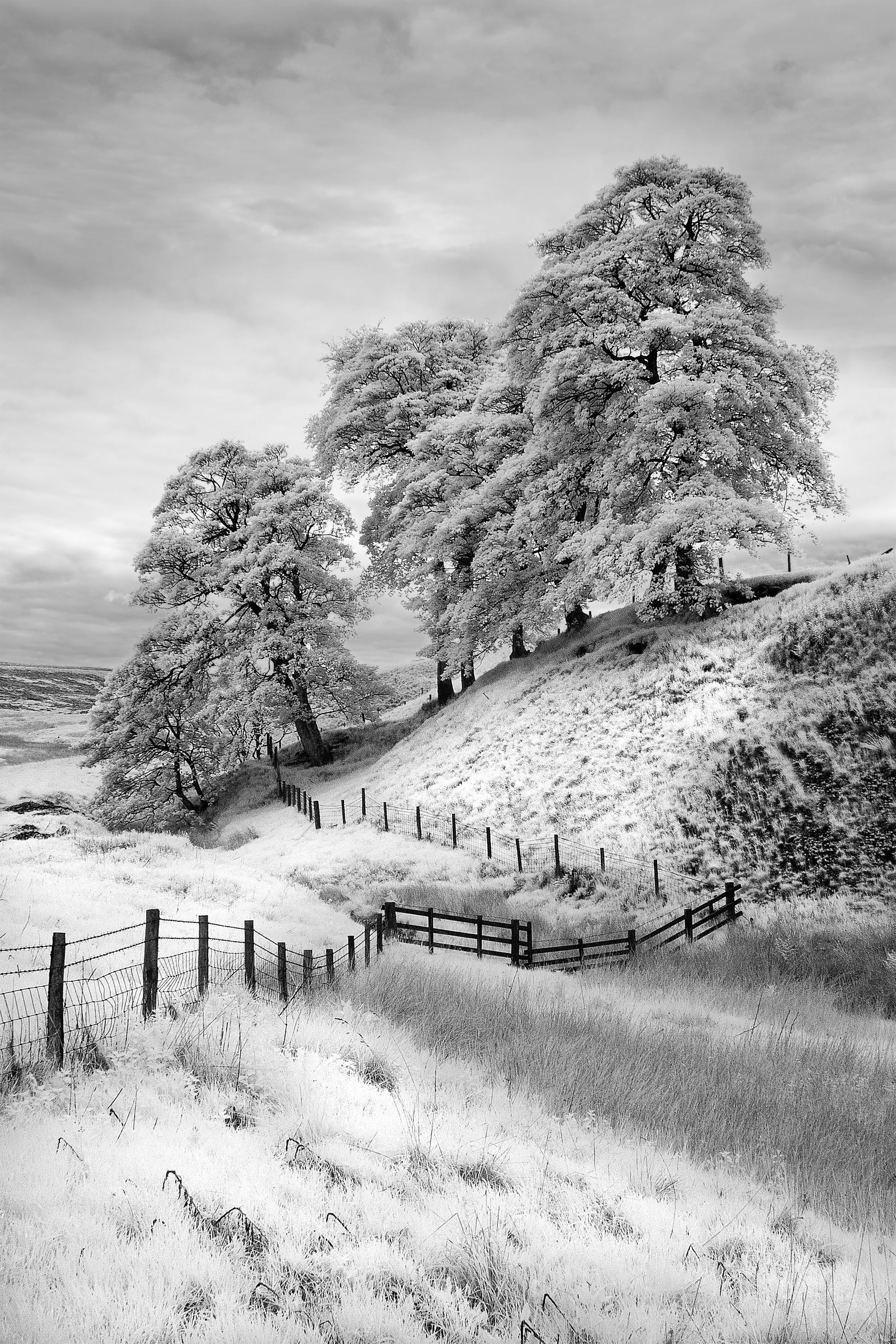 A Derbyshire Landscape - Photo - Photographer Darron Matthews