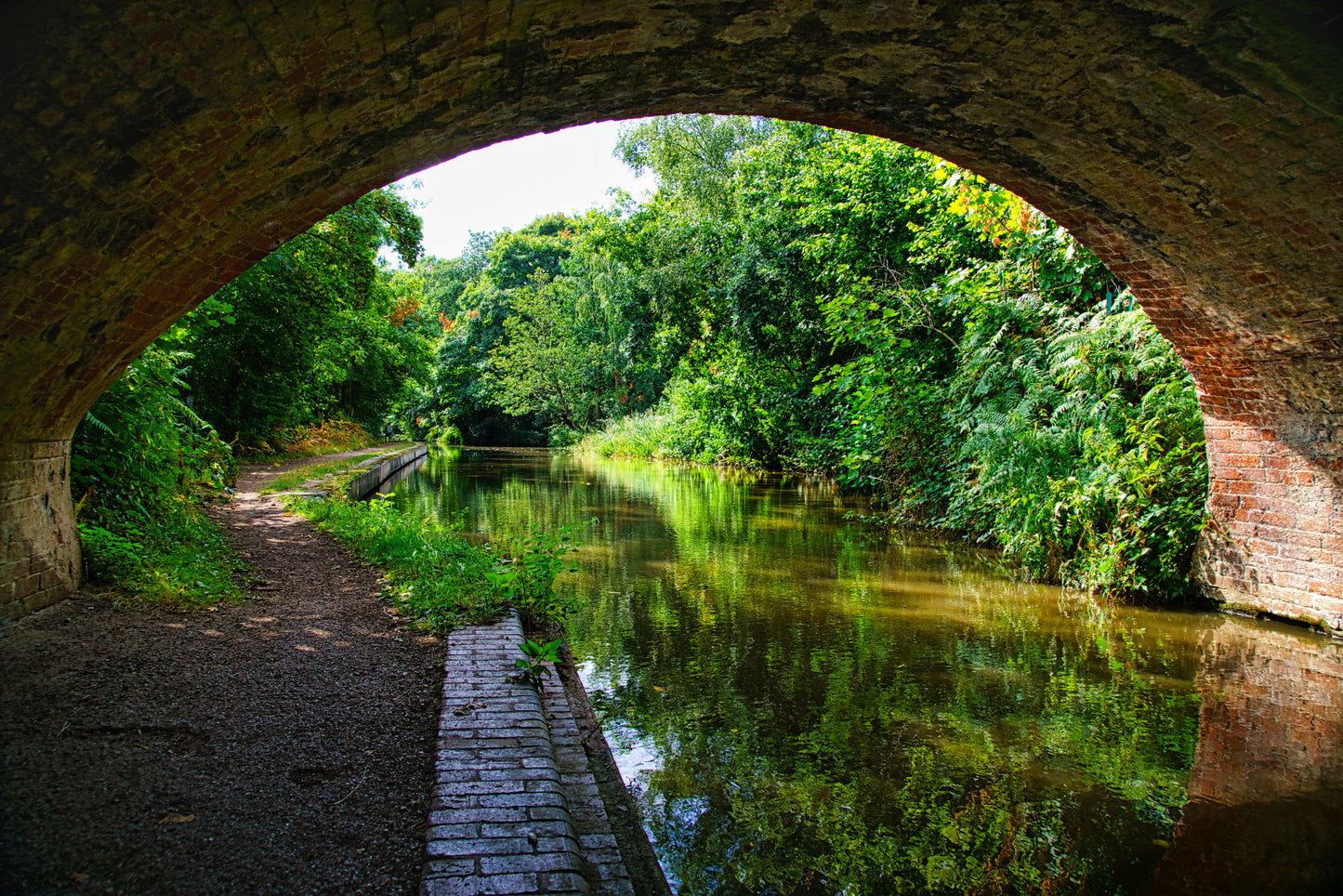 Birmingham & Fazeley Canal - Hopwas - DSC04805 - Photo - Photographer Martin Fisher