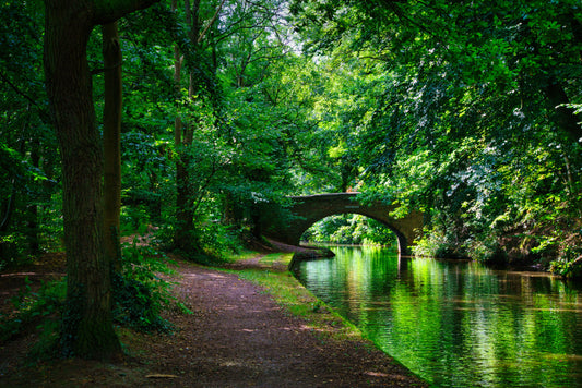 Birmingham & Fazeley Canal - Hopwas - DSC04844 - Photo - Photographer Martin Fisher