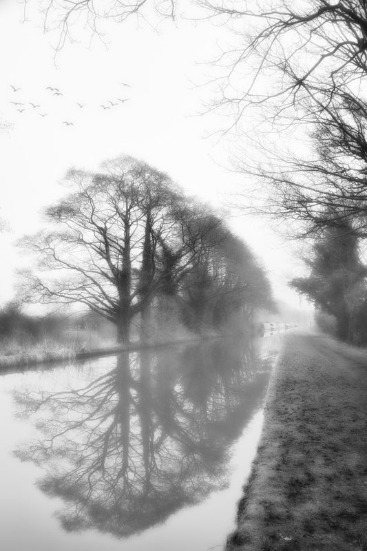 Canal Mist - DSC08918 - Photo - Photographer Martin Fisher
