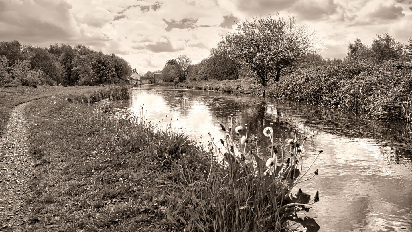 Cannock Extension Canal - Part 3 - Photo - Photographer Martin Fisher