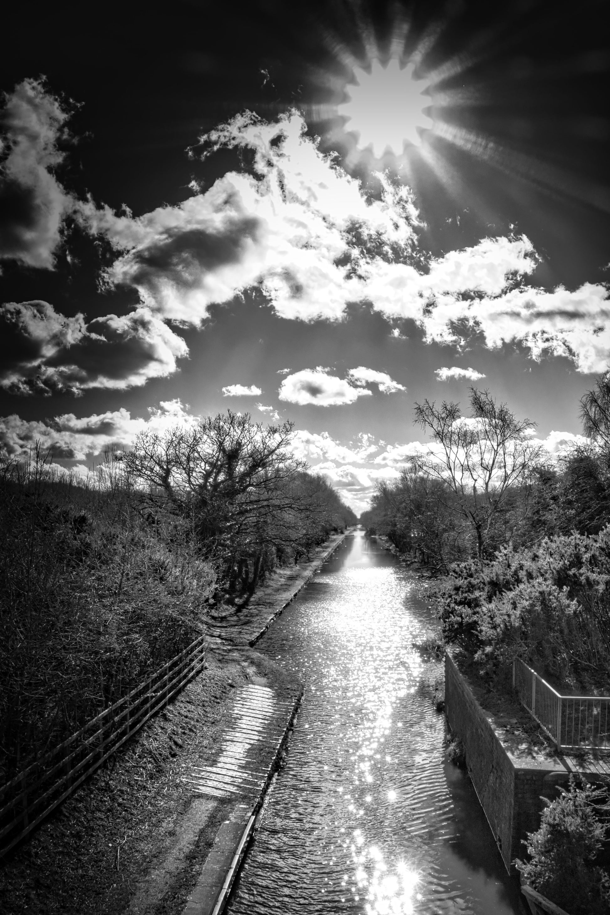 Cannock Extension Canal - Part 4 - Photo - Photographer Martin Fisher